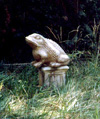 Old Pet Cemetery - Frog